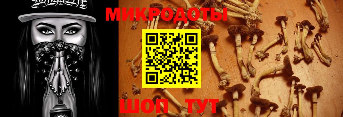 Галлюциногенные грибы мухоморы Янаул